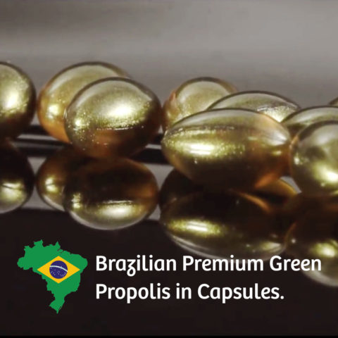 Brazilian premium green propolis in capsules.